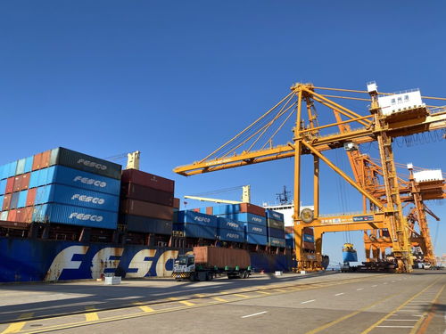 新華社聚焦 溫州 高水平開(kāi)放助推高質(zhì)量發(fā)展